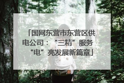 国网东营市东营区供电公司：“三精”服务“电”亮发展新篇章